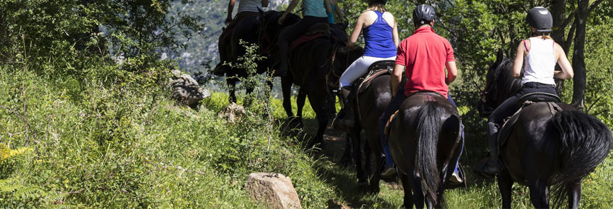 Randonnées équestres et treks à cheval